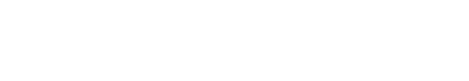 Temas Ajans